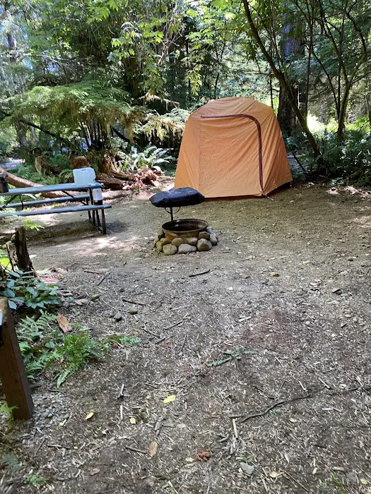 Dawleys Sol Duc River Campground Picture 7