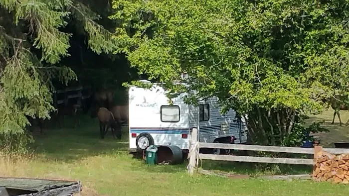 Last Chance Camp Equine Rest Stop Picture 3
