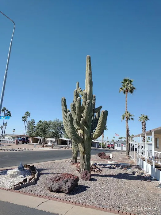 Sierra Del Saguaro Picture 6