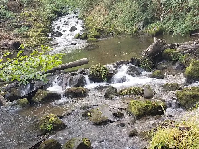 Savage Streams Campground Picture 4