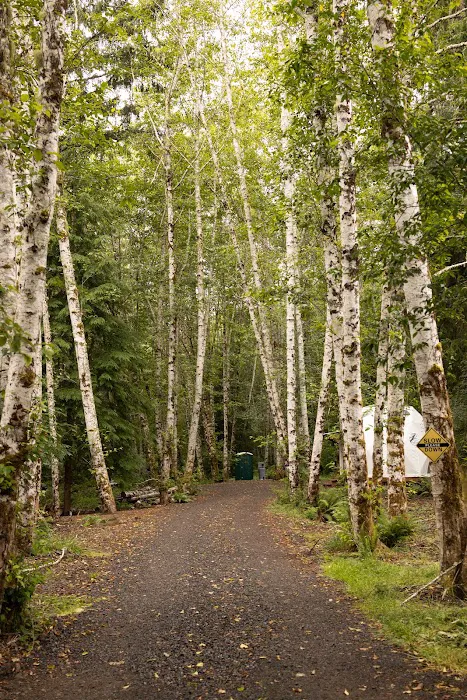 Wandering Woodlands Picture 7