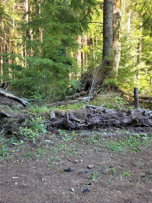 Prior Homestead Camping and RV Picture 8