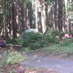 Cycle Camp