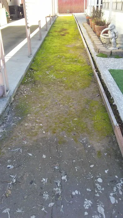 Cedarwood Mobile Home Park Picture 2