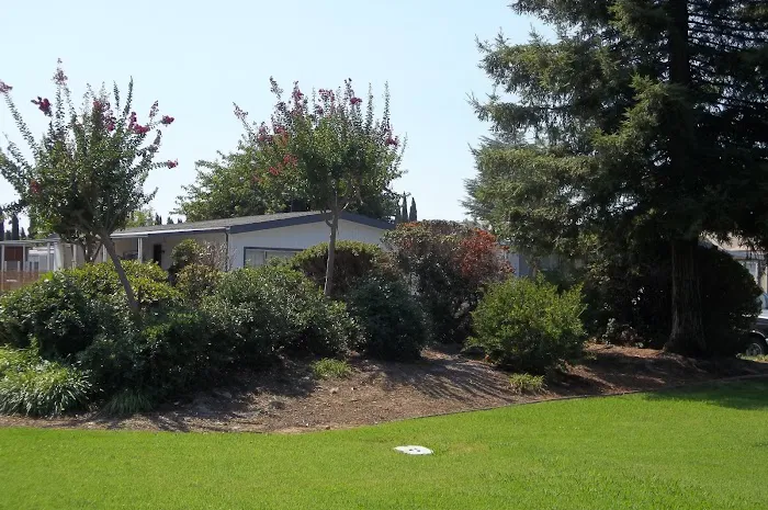 Camellia Village Mobile Home Picture 5