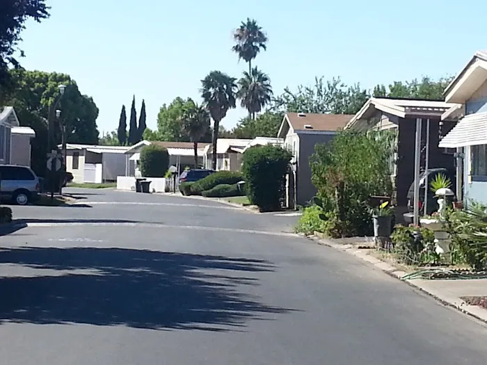 Camellia Village Mobile Home Picture 4
