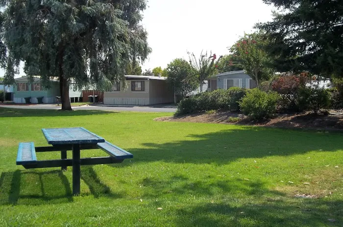 Camellia Village Mobile Home Picture 10