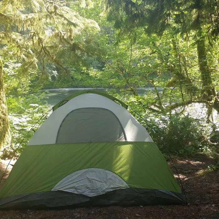 Hoh Oxbow Campground Picture 9