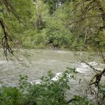 Hoh Oxbow Campground