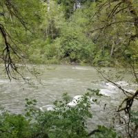 Hoh Oxbow Campground ico