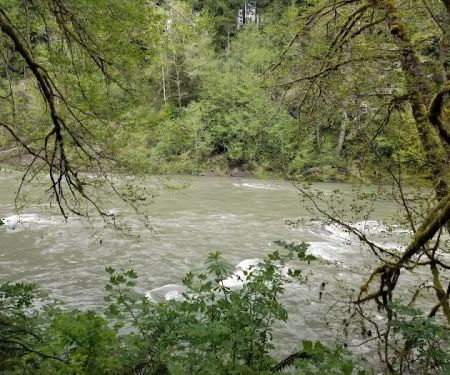 Hoh Oxbow Campground