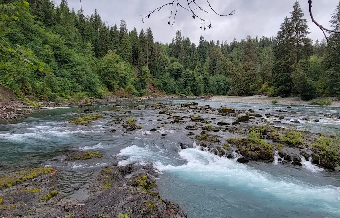Hoh Oxbow Campground Picture 5