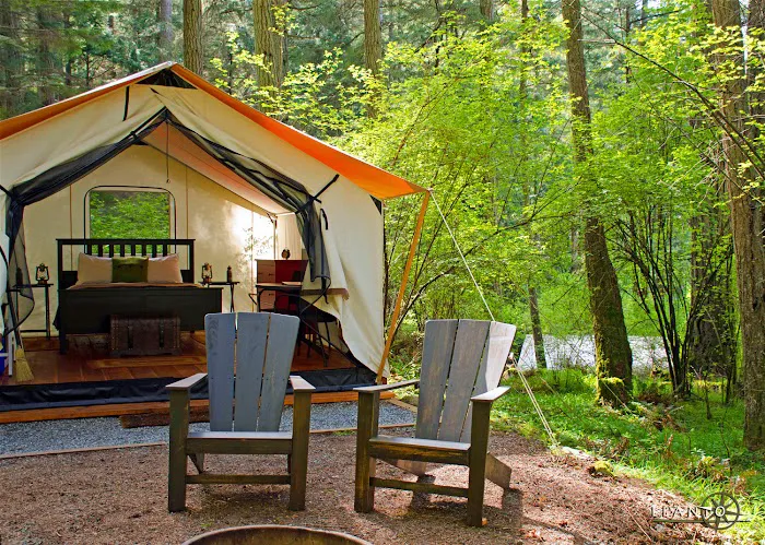 LEANTO | Camp Orcas Picture 3