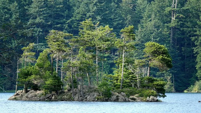 Mountain Lake Group Camp Sites Picture 2