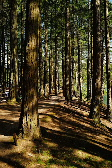 Mountain Lake Group Camp Sites Picture 4