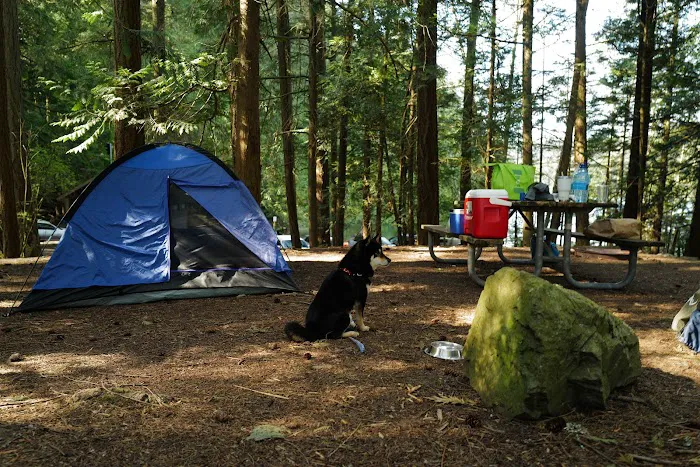 Mountain Lake Group Camp Sites Picture 3