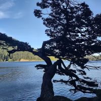 Northend Camp ico