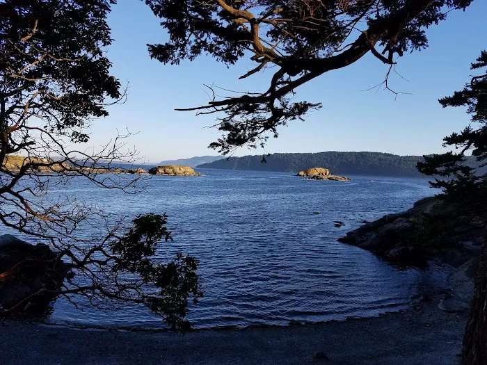 Clark Island Campground Picture 10
