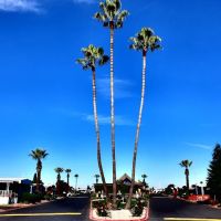 South Gate Mobile Estates ico