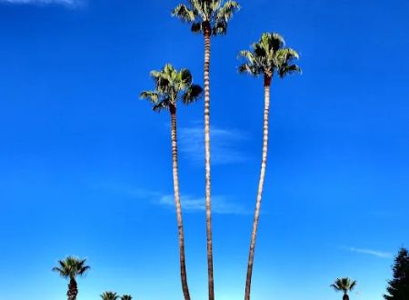 South Gate Mobile Estates