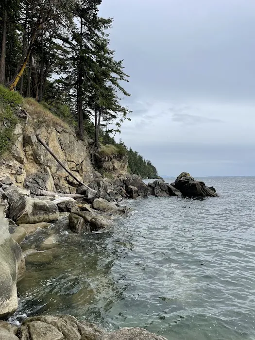 Larrabee State Park Campground Picture 3