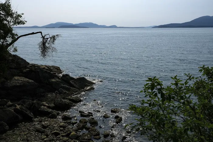 Larrabee State Park Campground Picture 7