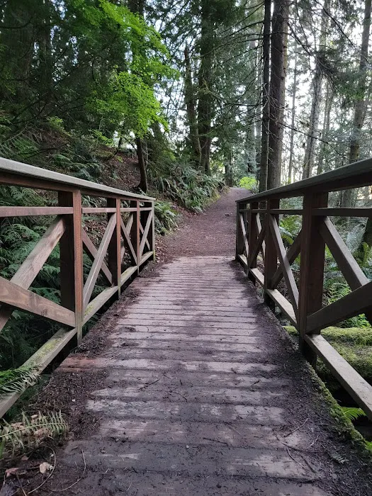 Larrabee State Park Campground Picture 10