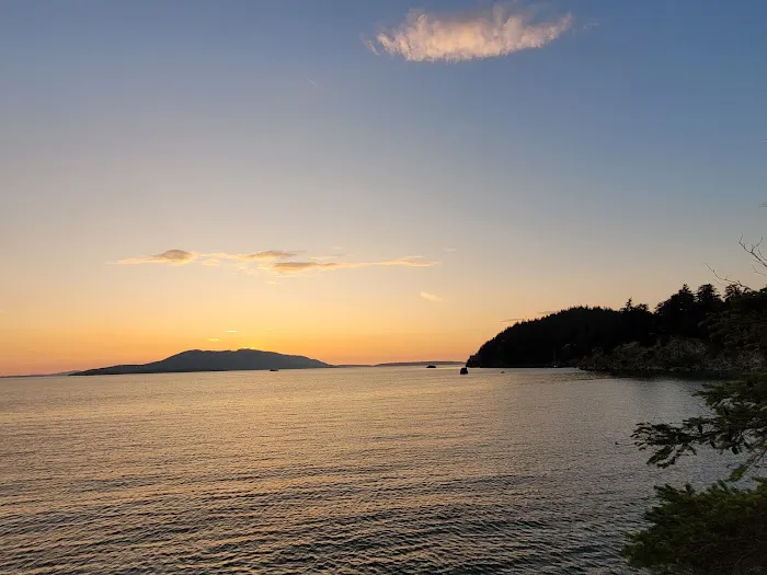 Larrabee State Park Campground Picture 5