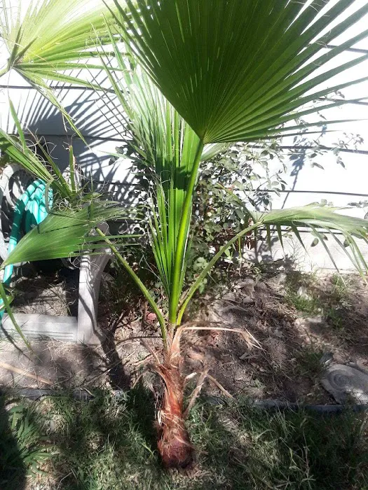 Casa De Amigo's Mobile Home Park Picture 9