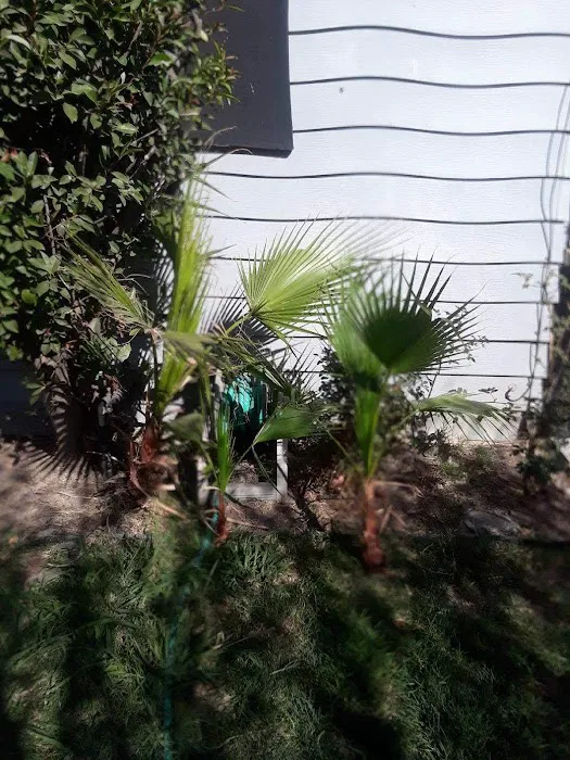 Casa De Amigo's Mobile Home Park Picture 8