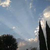 Twin Cypress Mobile Home Park space 37 ico