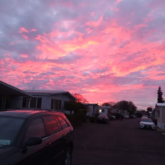 Twin Cypress Mobile Home Park space 37 Picture 5
