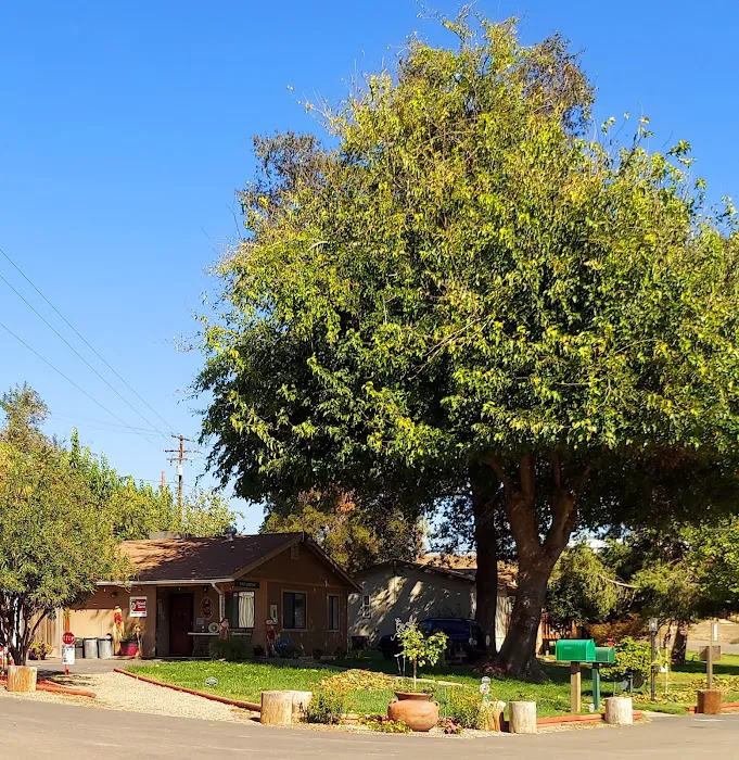 Merced River RV Resort Picture 4