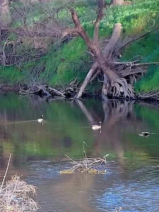 Merced River RV Resort Picture 8
