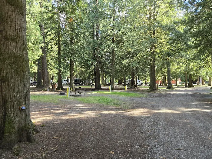 Friday Creek Campground Picture 2