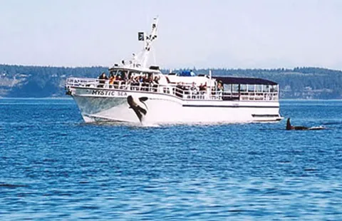 Burlington / Anacortes KOA Holiday Picture 3