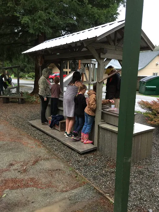 Burlington / Anacortes KOA Holiday Picture 7