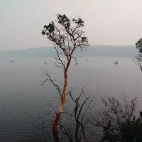 Echo Bay Campground ico