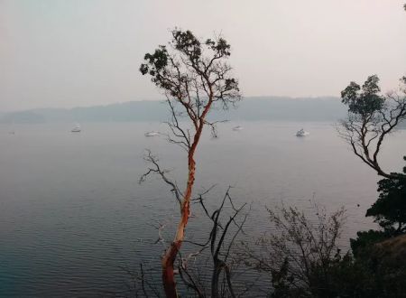 Echo Bay Campground