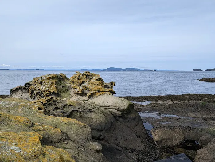 Echo Bay Campground Picture 5