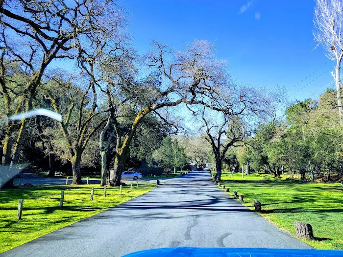Oak Dell Park Picture 5