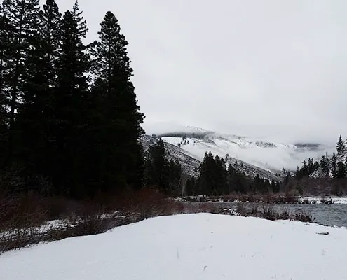Elk Ridge Campground Picture 5