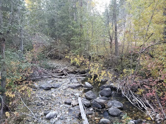 Foggy Dew Campground Picture 7