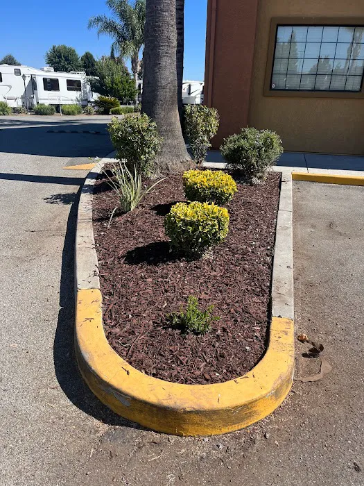 Gilroy Garlic USA RV Park Picture 5