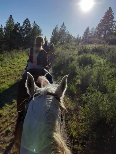 Chelan Mountain View Ranch Picture 3