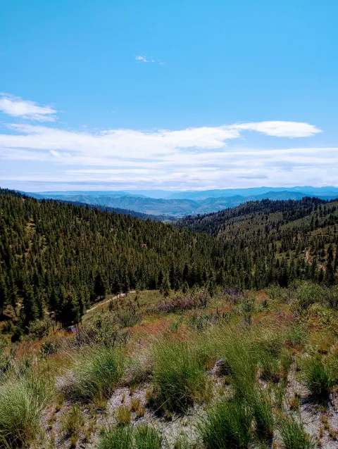 Chelan Mountain View Ranch Picture 9
