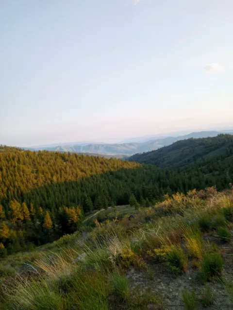 Chelan Mountain View Ranch Picture 10
