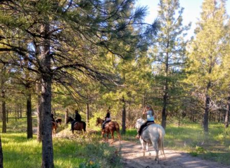 Chelan Mountain View Ranch