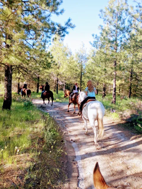 Chelan Mountain View Ranch Picture 6