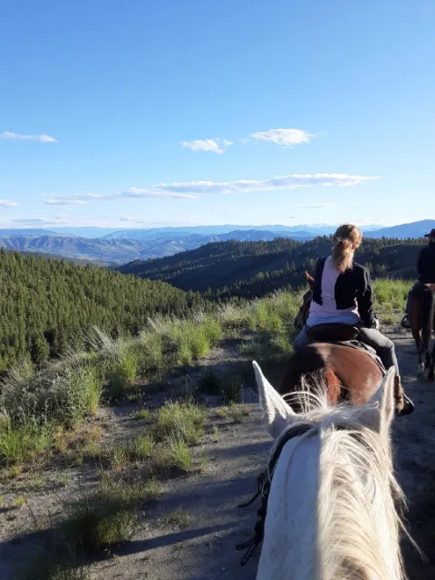 Chelan Mountain View Ranch Picture 7